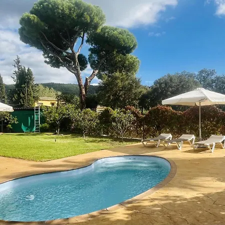 Aguacate Calonge (Catalonia)